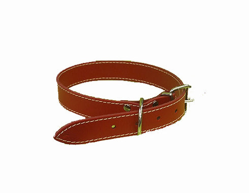 Zgarda Simpla Caini Piele Rosie Animax Nr.5